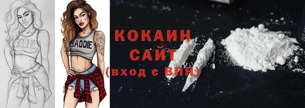 прущие грибы Ладушкин