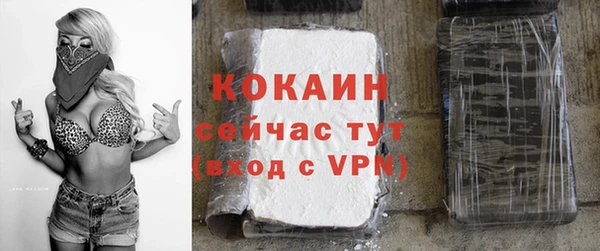 прущие грибы Ладушкин