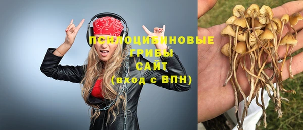 гидропоника Лагань