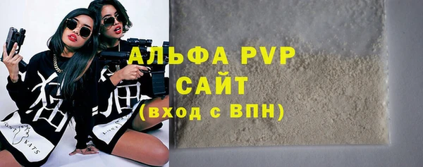 прущие грибы Ладушкин