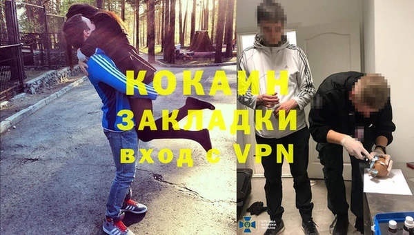 прущие грибы Ладушкин