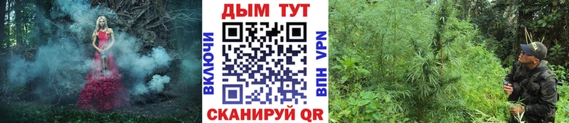 Купить где  Спасск-Рязанский  МАРИХУАНА VHQ 